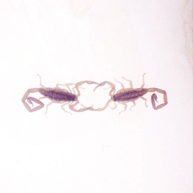 Cross Record — Wabi-Sabi cover